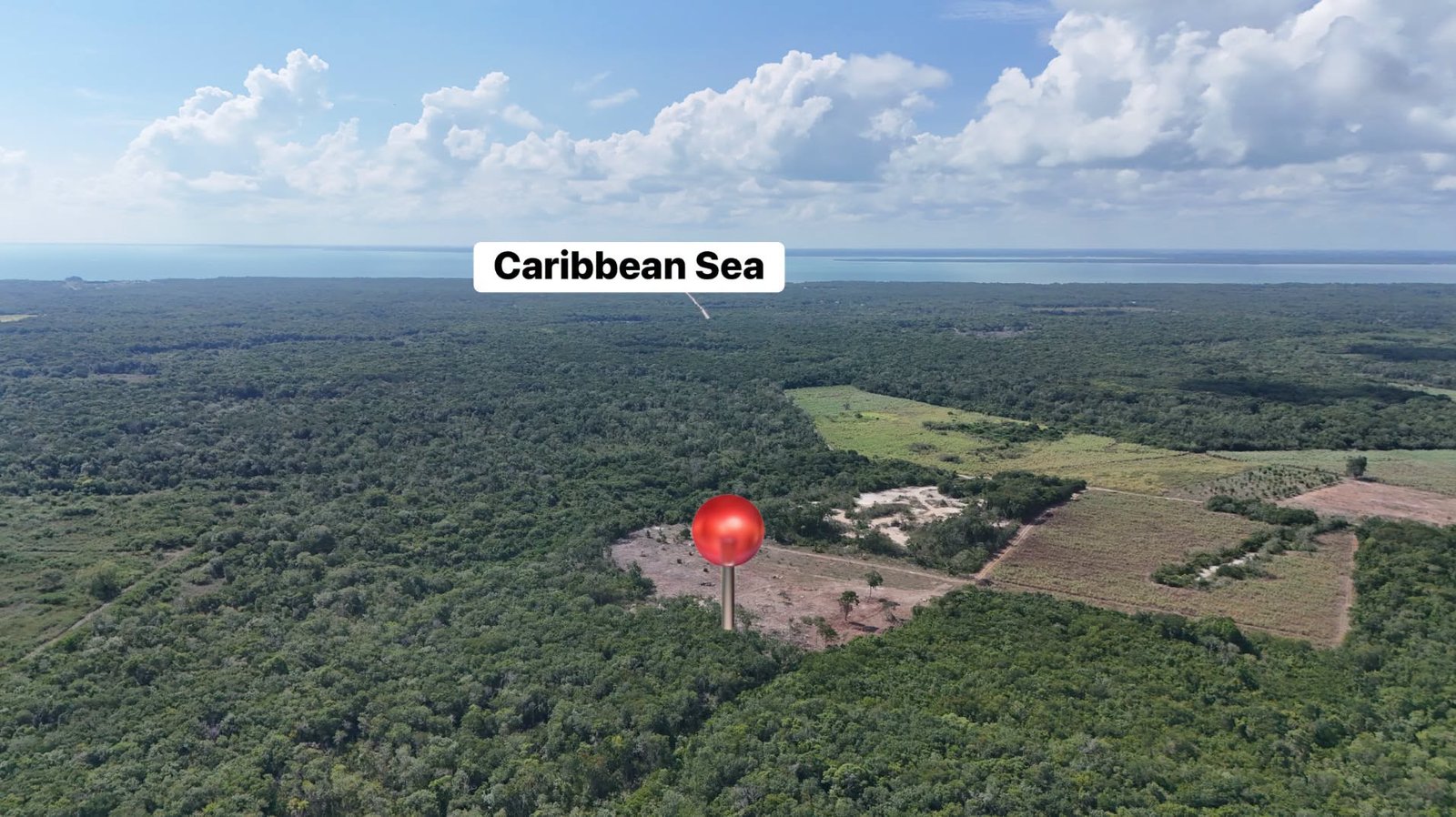20 ACRES FOR SALE | CONSEJO VILLAGE, COROZAL DISTRICT