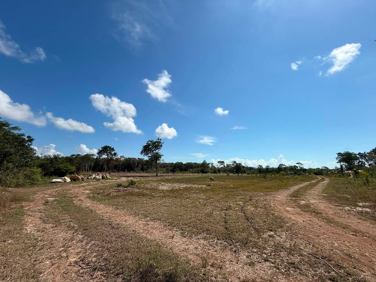 20 ACRES FOR SALE | CONSEJO VILLAGE, COROZAL DISTRICT