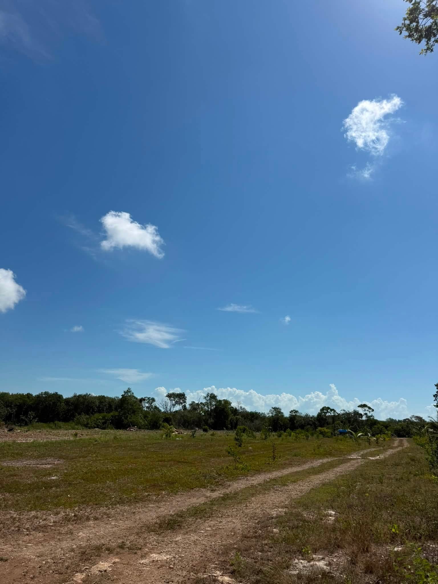 20 ACRES FOR SALE | CONSEJO VILLAGE, COROZAL DISTRICT