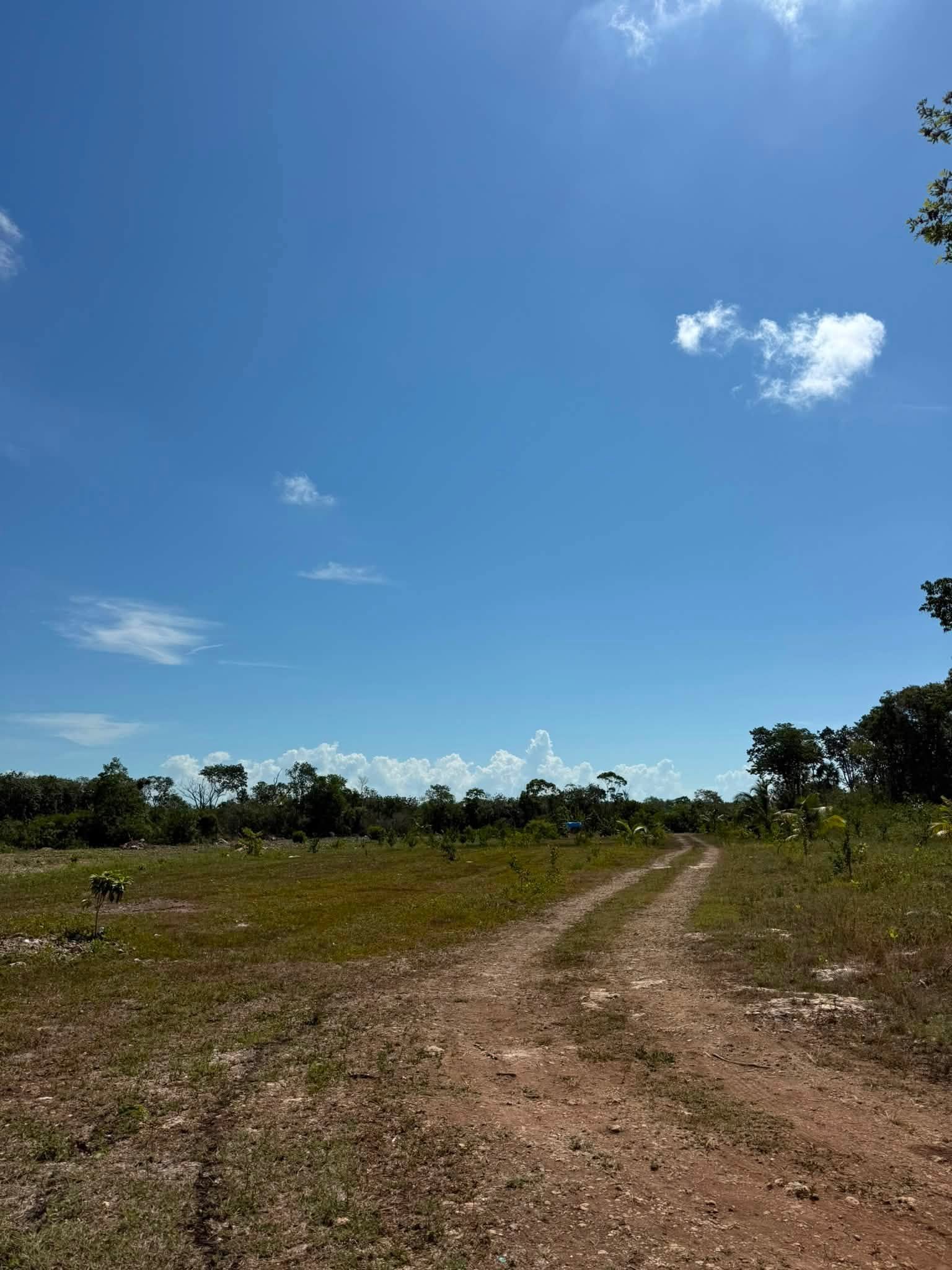 20 ACRES FOR SALE | CONSEJO VILLAGE, COROZAL DISTRICT
