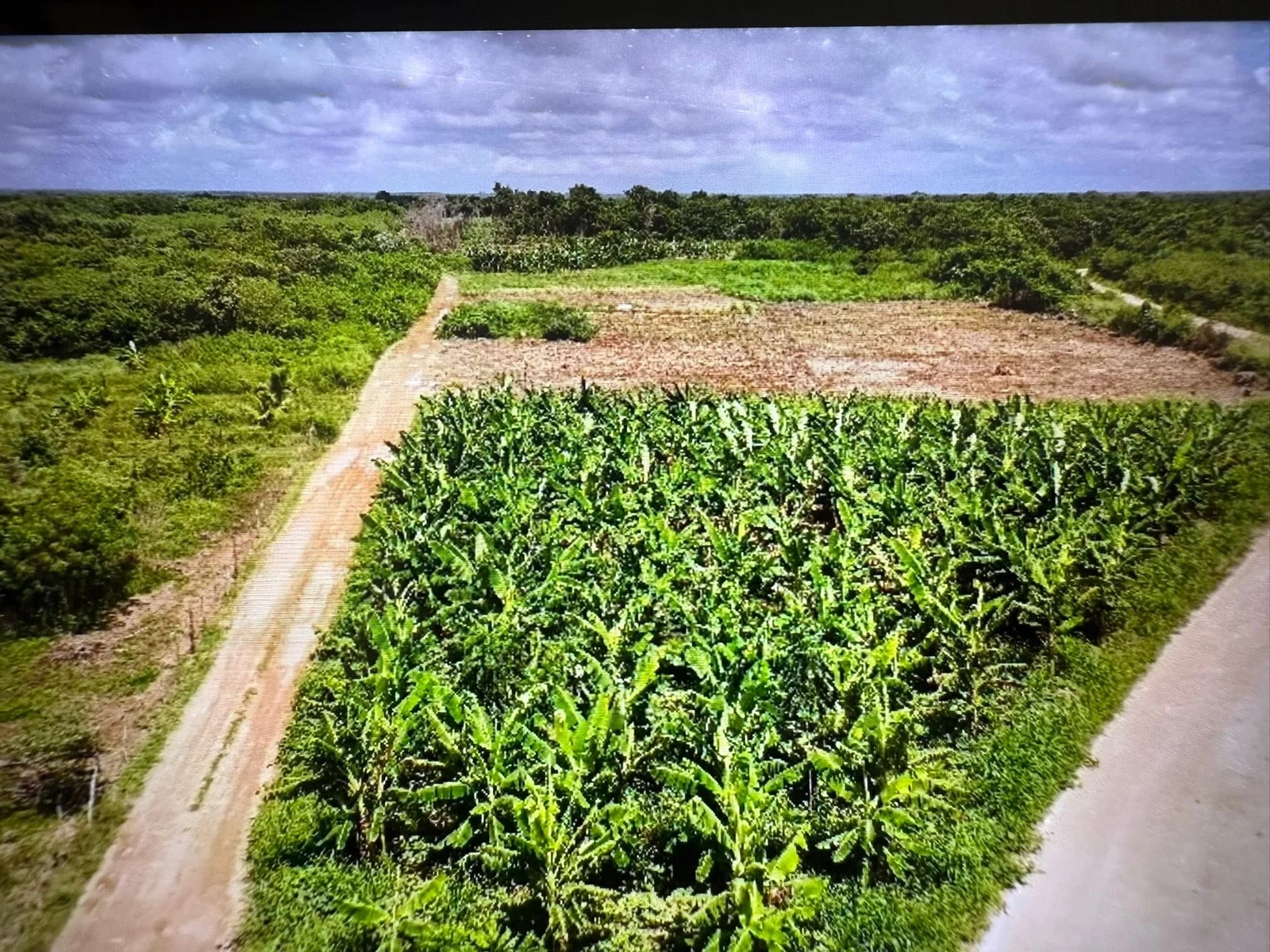 Paraiso Area, Corozal District