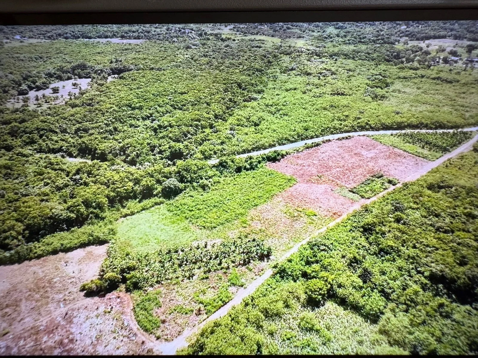Paraiso Area, Corozal District