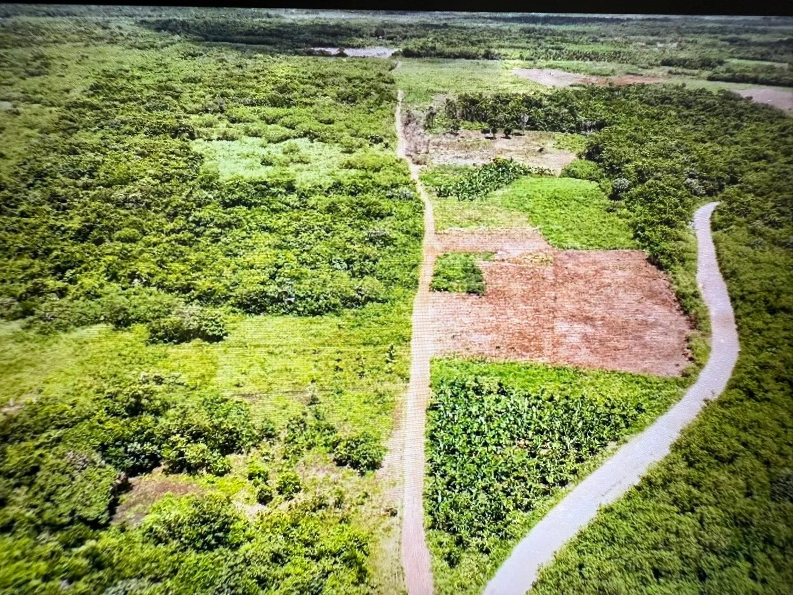 Paraiso Area, Corozal District