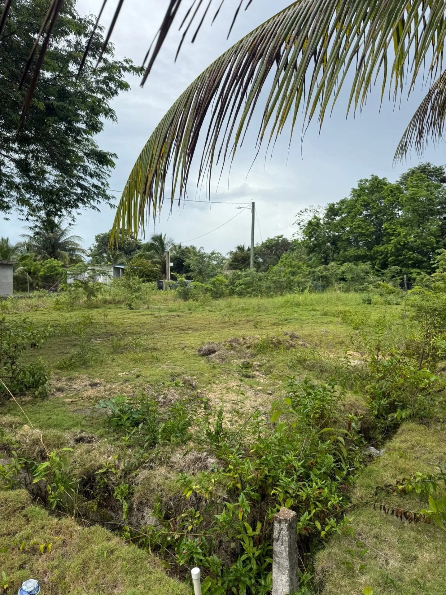 Finca Solana, Corozal Town (NO SELLER FINANCING AVAILABLE. HOWEVER, THE SELLER IS MOTIVATED AND OPEN TO REASONABLE OFFERS.)