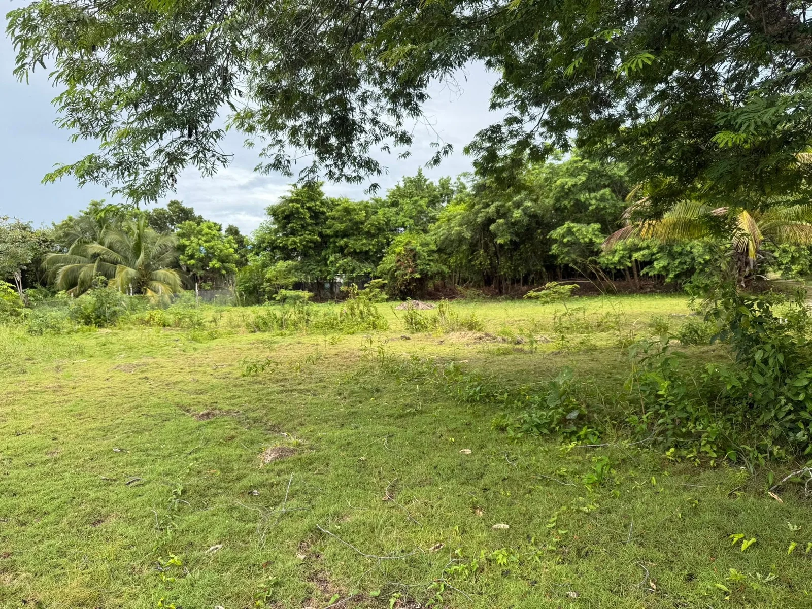 Finca Solana, Corozal Town (NO SELLER FINANCING AVAILABLE. HOWEVER, THE SELLER IS MOTIVATED AND OPEN TO REASONABLE OFFERS.)