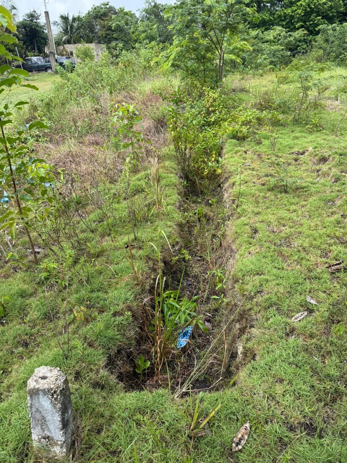 Finca Solana, Corozal Town (NO SELLER FINANCING AVAILABLE. HOWEVER, THE SELLER IS MOTIVATED AND OPEN TO REASONABLE OFFERS.)