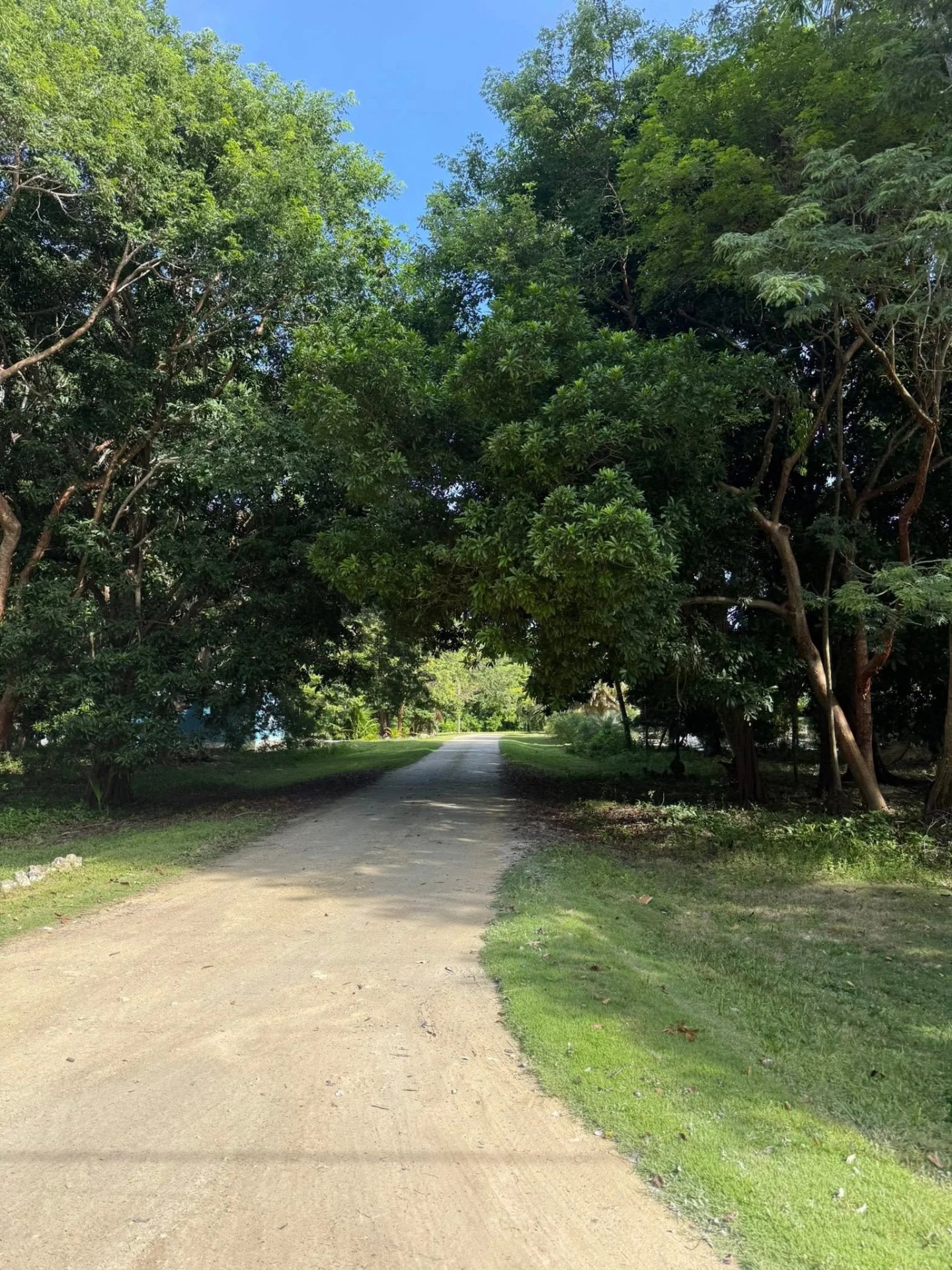 MAYAN SEASIDE,CONSEJO VILLAGE,COROZAL (NO SELLER FINANCING AVAILABLE. HOWEVER, THE SELLER IS MOTIVATED AND OPEN TO REASONABLE OFFERS.)