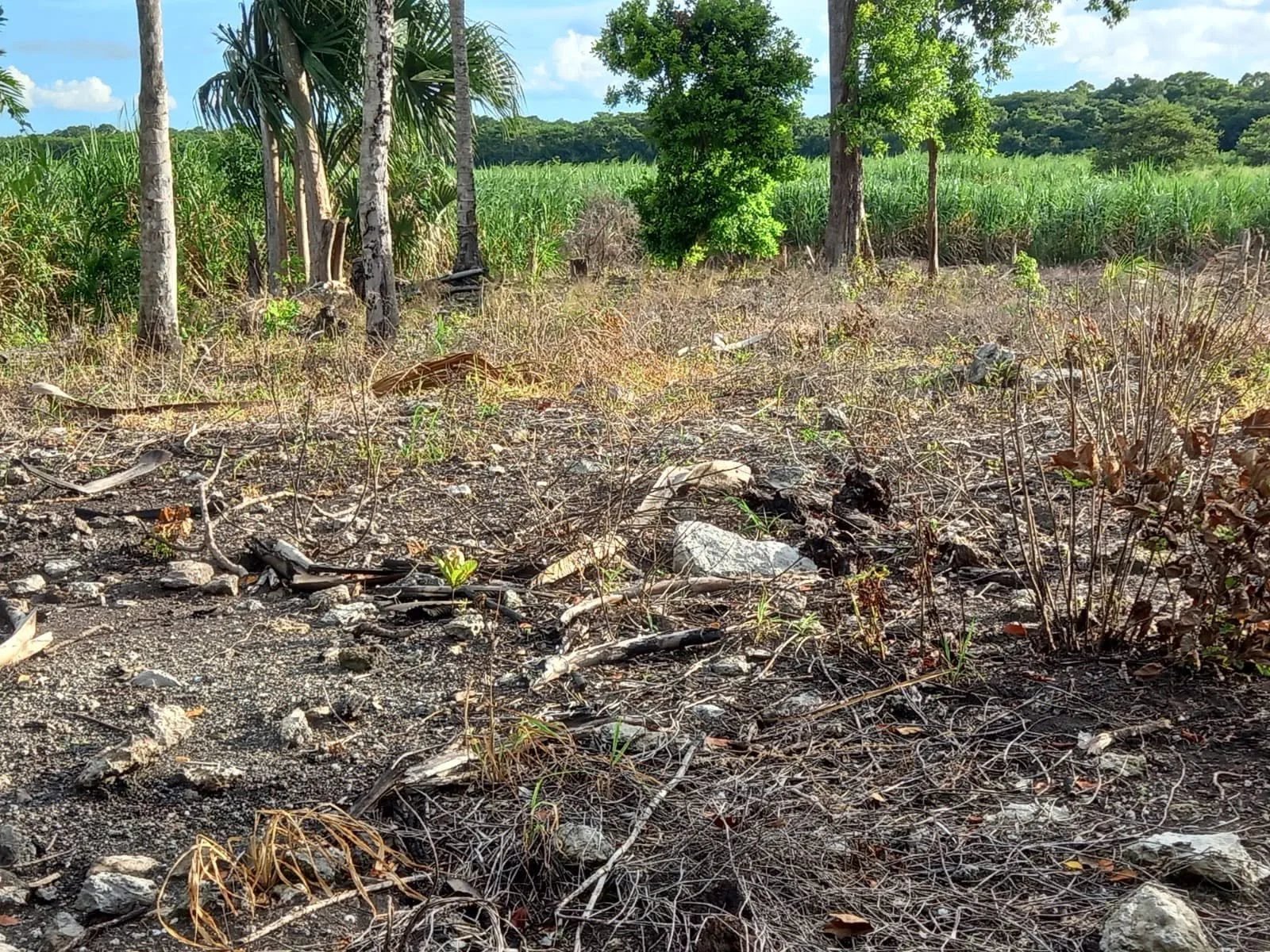 Santa Rosa, Chan Chen, Corozal Town (NO SELLER FINANCING AVAILABLE. HOWEVER, THE SELLER IS MOTIVATED AND OPEN TO REASONABLE OFFERS.)