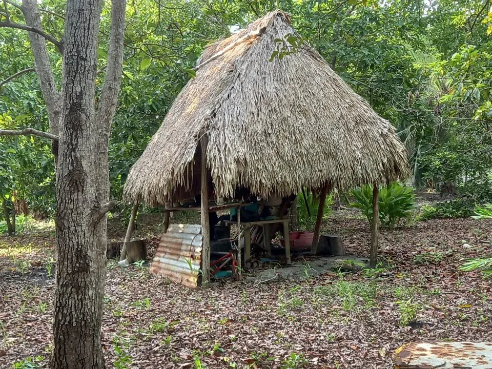 Santa Rosa, Chan Chen, Corozal Town (NO SELLER FINANCING AVAILABLE. HOWEVER, THE SELLER IS MOTIVATED AND OPEN TO REASONABLE OFFERS.)