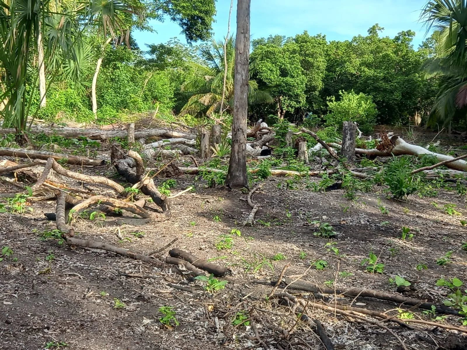 Santa Rosa, Chan Chen, Corozal Town (NO SELLER FINANCING AVAILABLE. HOWEVER, THE SELLER IS MOTIVATED AND OPEN TO REASONABLE OFFERS.)
