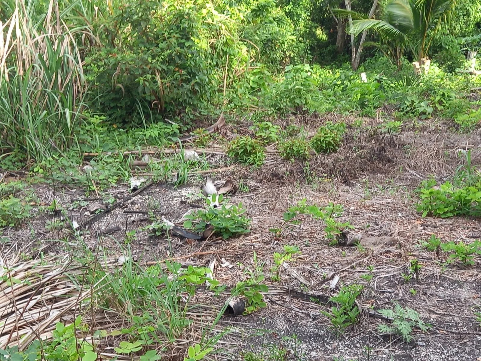 Santa Rosa, Chan Chen, Corozal Town (NO SELLER FINANCING AVAILABLE. HOWEVER, THE SELLER IS MOTIVATED AND OPEN TO REASONABLE OFFERS.)