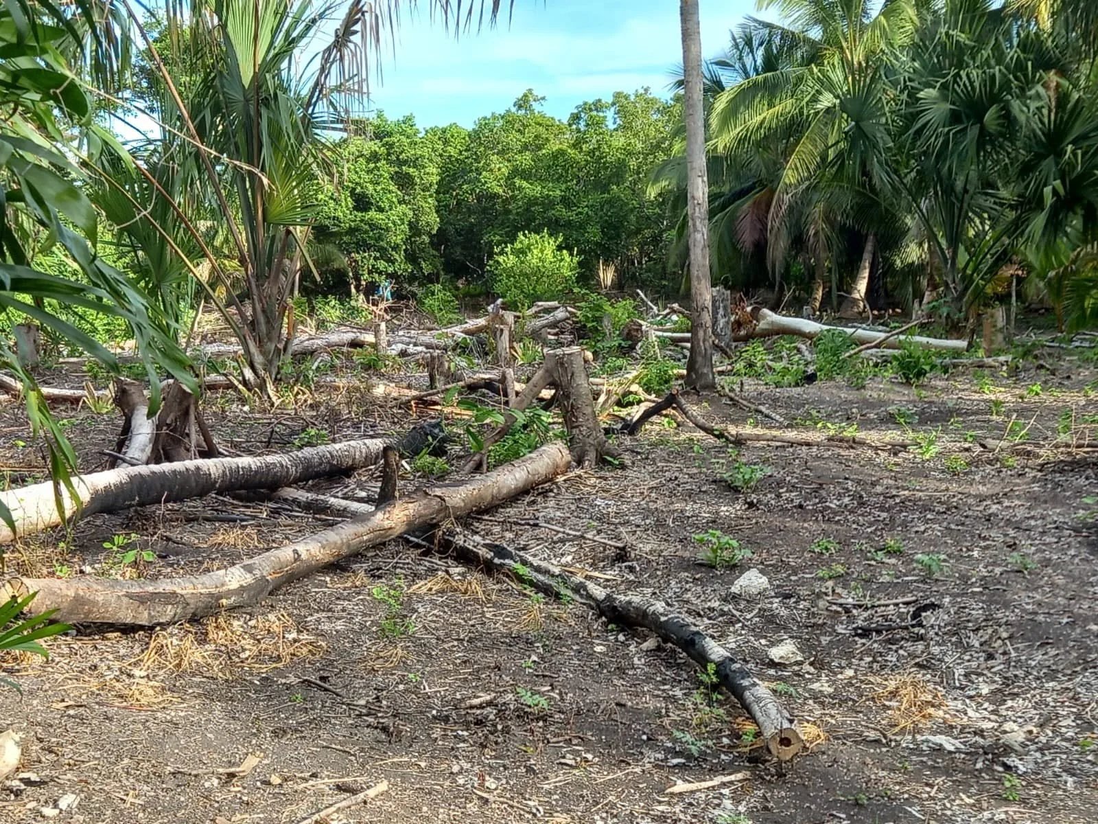 Santa Rosa, Chan Chen, Corozal Town (NO SELLER FINANCING AVAILABLE. HOWEVER, THE SELLER IS MOTIVATED AND OPEN TO REASONABLE OFFERS.)