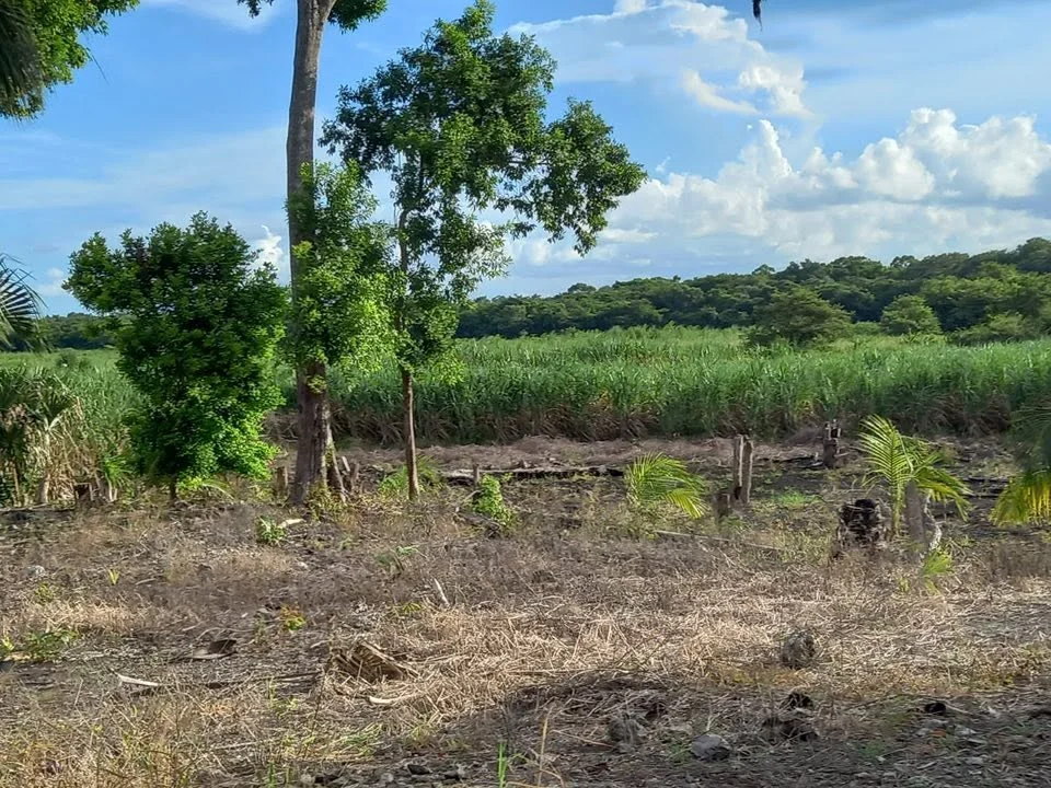 Santa Rosa, Chan Chen, Corozal Town (NO SELLER FINANCING AVAILABLE. HOWEVER, THE SELLER IS MOTIVATED AND OPEN TO REASONABLE OFFERS.)