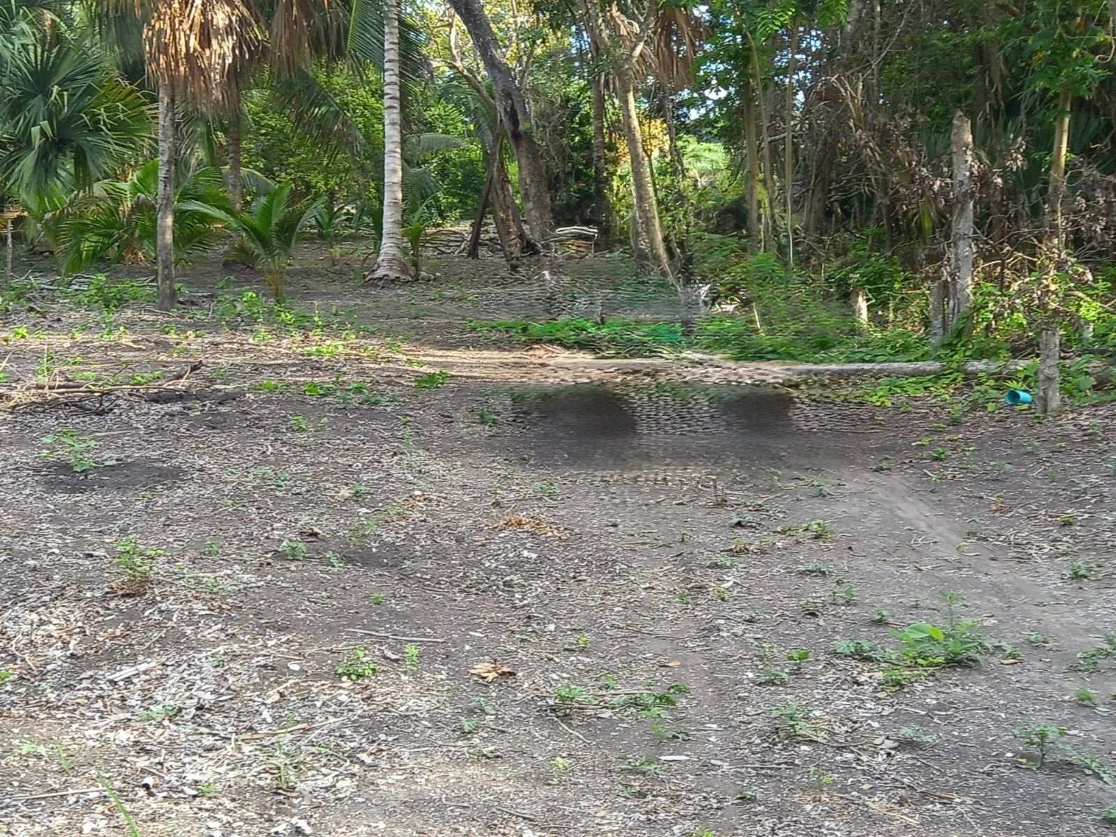 Santa Rosa, Chan Chen, Corozal Town (NO SELLER FINANCING AVAILABLE. HOWEVER, THE SELLER IS MOTIVATED AND OPEN TO REASONABLE OFFERS.)