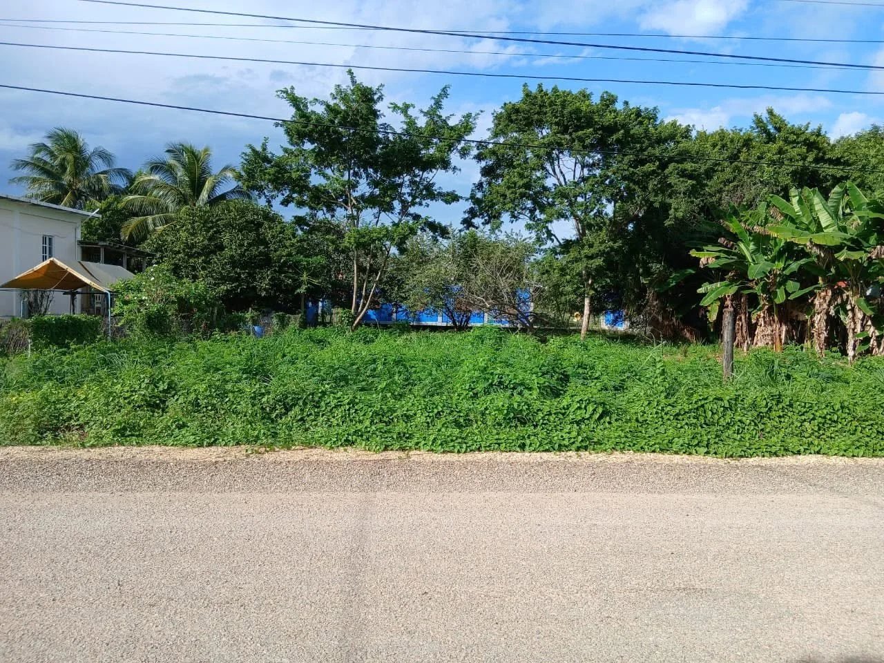 SARTENEJA VILLAGE, COROZAL (NO SELLER FINANCING AVAILABLE. HOWEVER, THE SELLER IS MOTIVATED AND OPEN TO REASONABLE OFFERS.)