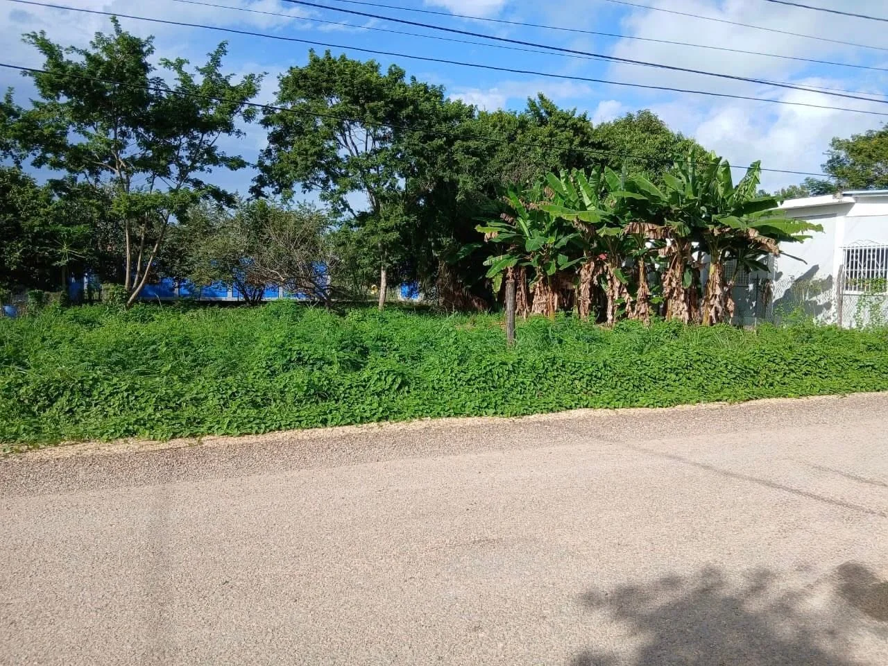 SARTENEJA VILLAGE, COROZAL (NO SELLER FINANCING AVAILABLE. HOWEVER, THE SELLER IS MOTIVATED AND OPEN TO REASONABLE OFFERS.)
