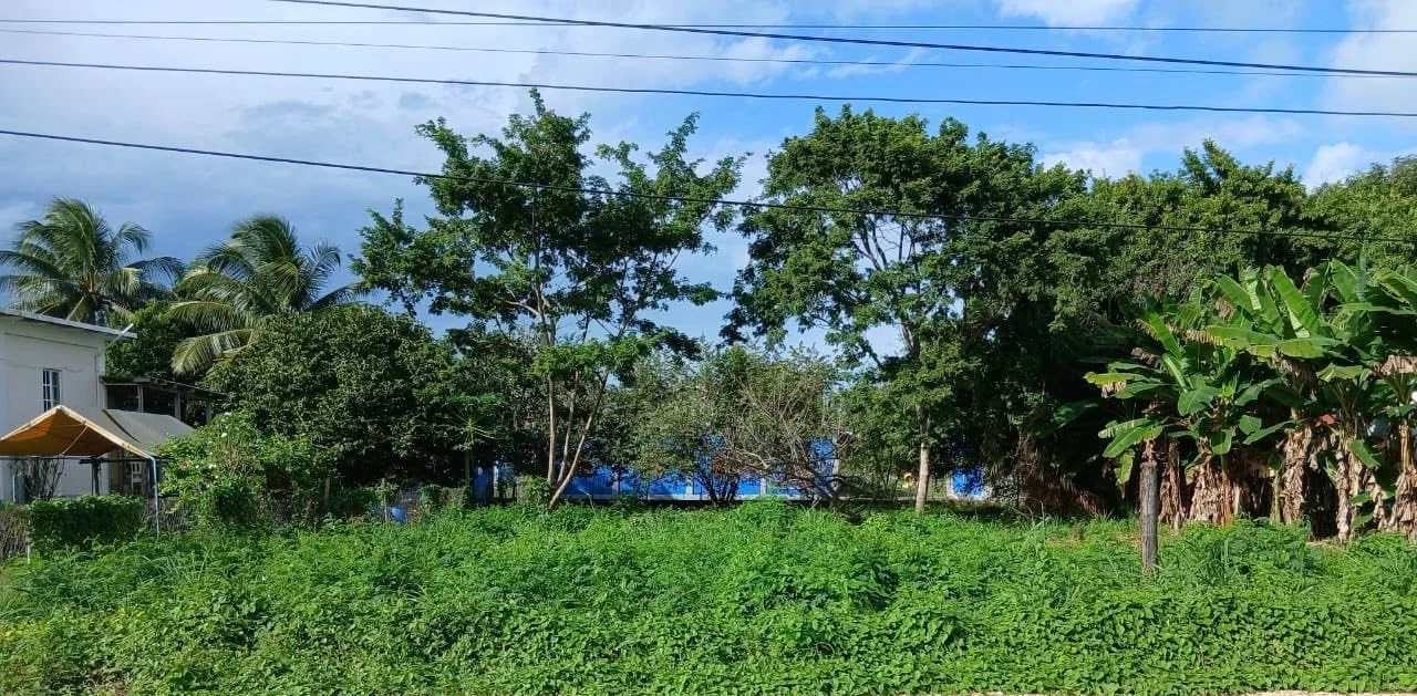 SARTENEJA VILLAGE, COROZAL (NO SELLER FINANCING AVAILABLE. HOWEVER, THE SELLER IS MOTIVATED AND OPEN TO REASONABLE OFFERS.)