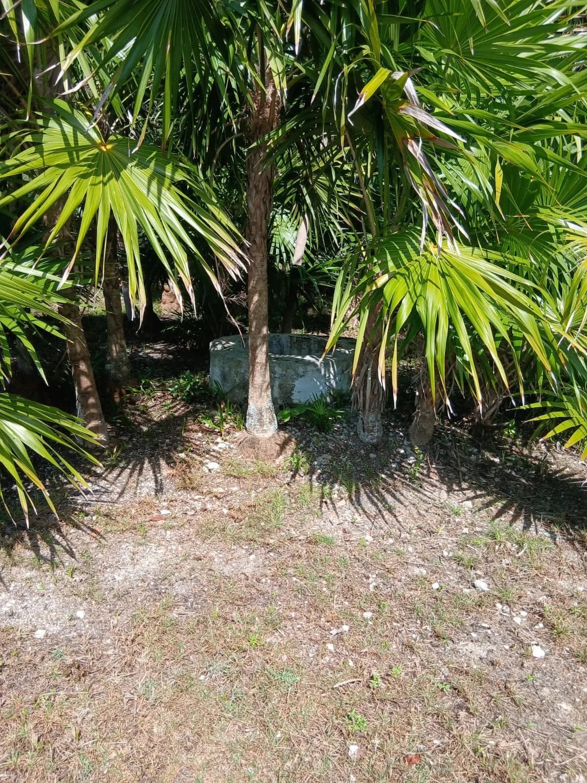 Sarteneja Village, Corozal District (NO SELLER FINANCING AVAILABLE. HOWEVER, THE SELLER IS MOTIVATED AND OPEN TO REASONABLE OFFERS.)