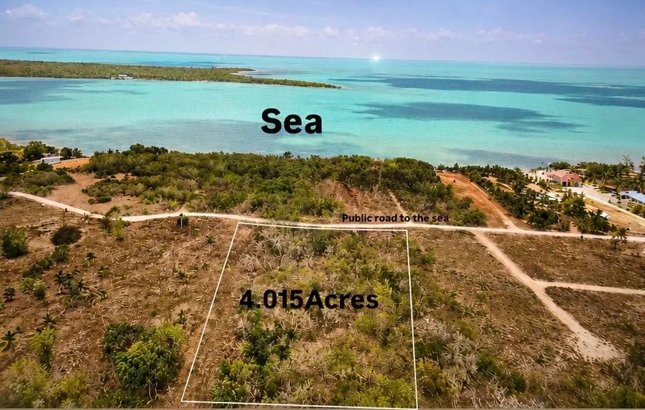 WAREE BIGHT/FRESHWATER CREEK,SARTENEJA,Corozal