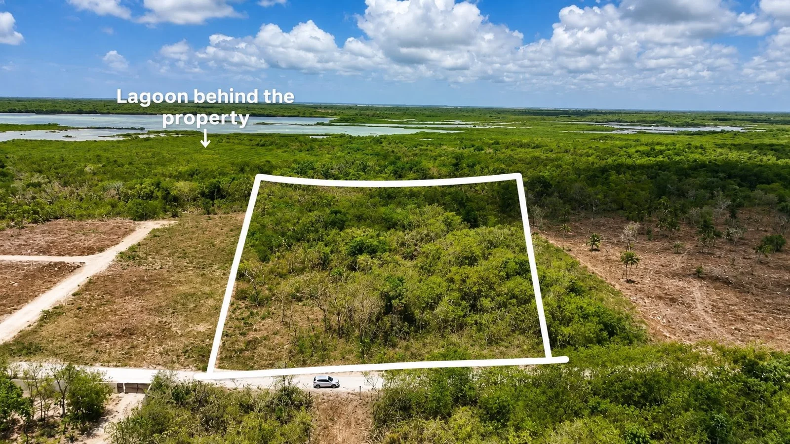 WAREE BIGHT/FRESHWATER CREEK,SARTENEJA,Corozal