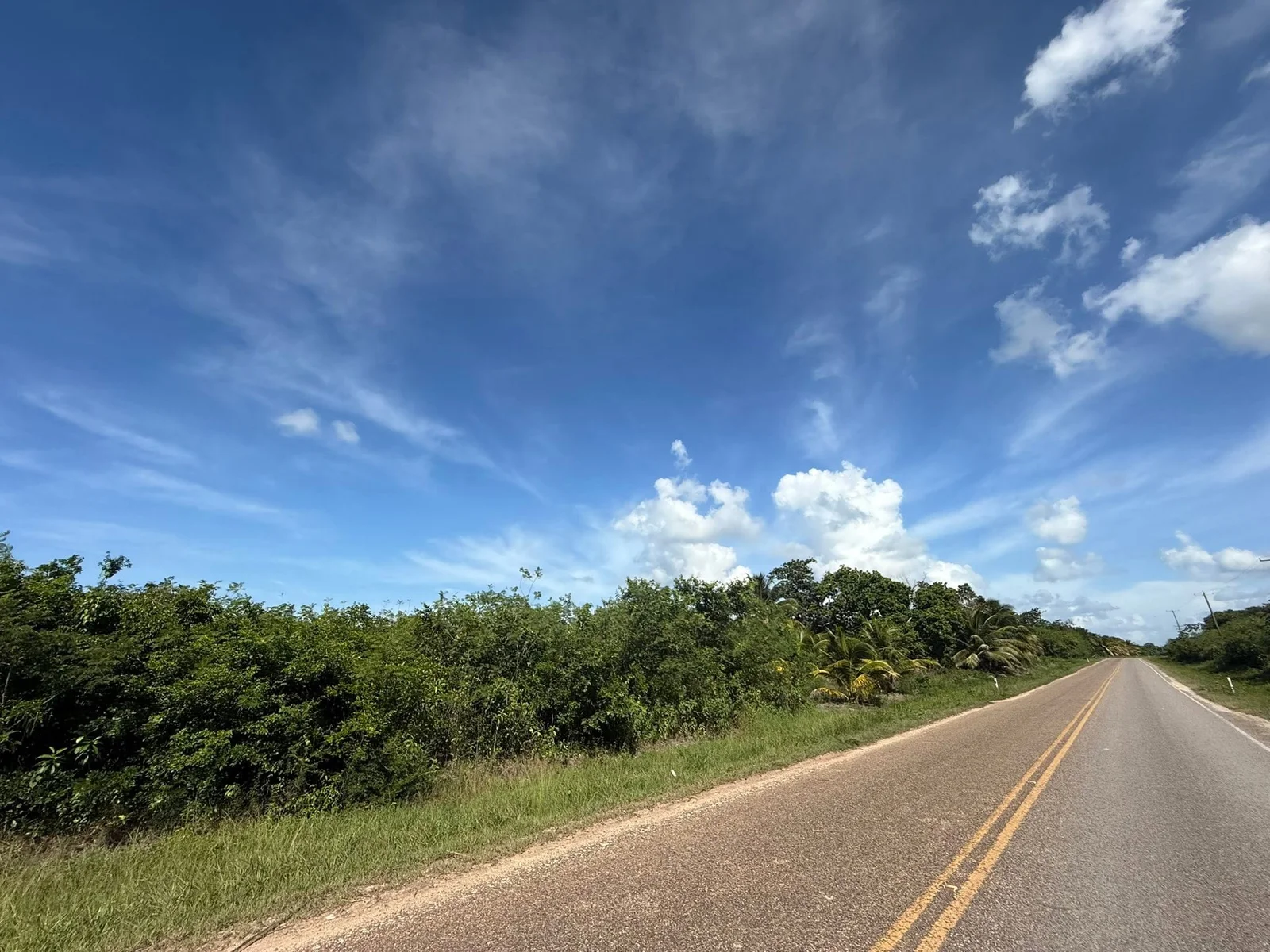 22.73 ACRES FARM LAND FOR SALE – XAIBE-PATCHAKAN ROAD, COROZAL DISTRICT 💰 (NO SELLER FINANCING AVAILABLE. HOWEVER, THE SELLER IS MOTIVATED AND OPEN TO REASONABLE OFFERS.) Location: Neighborhood, Corozal