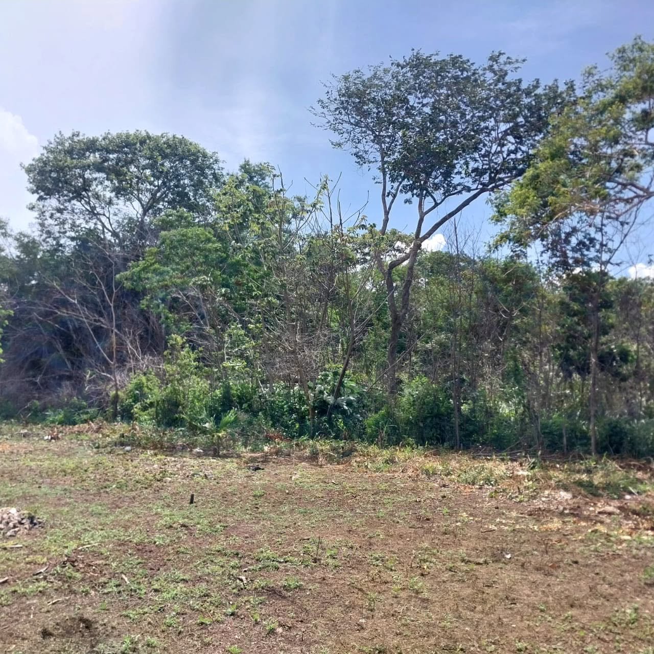 PROGRESSO VILLAGE, COROZAL DISTRICT