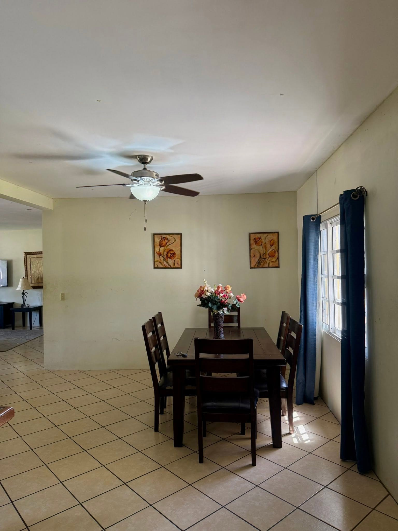 FULLY FURNISHED HOUSE FOR SALE – Cassanova Estates, Ladyville