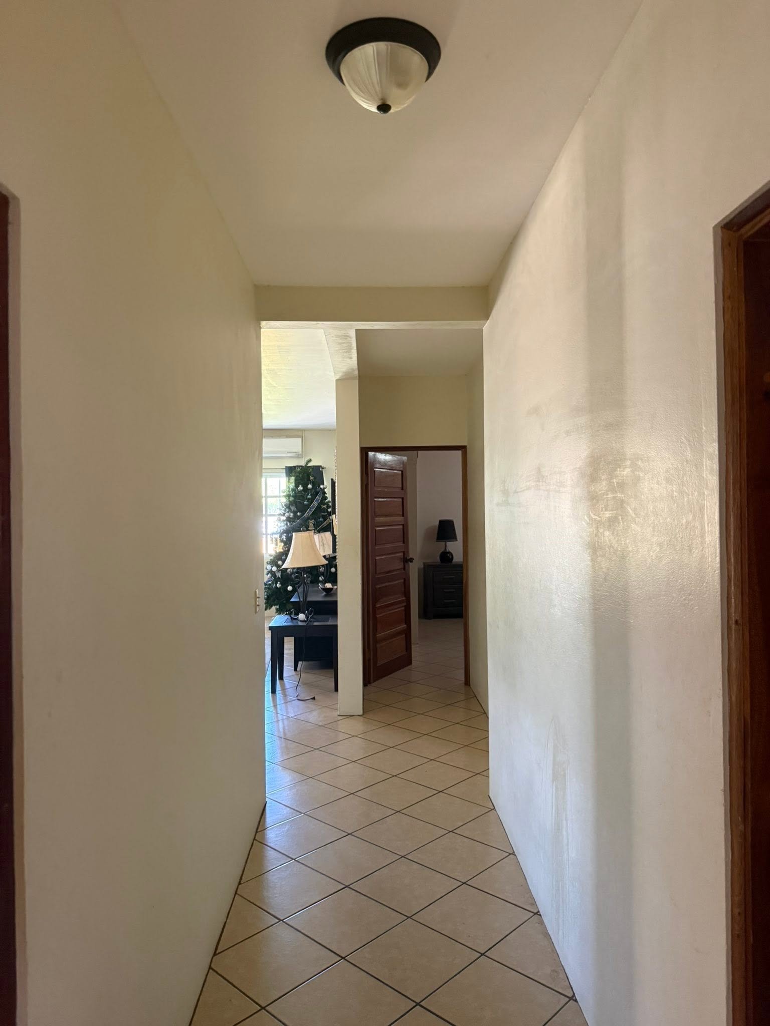 FULLY FURNISHED HOUSE FOR SALE – Cassanova Estates, Ladyville
