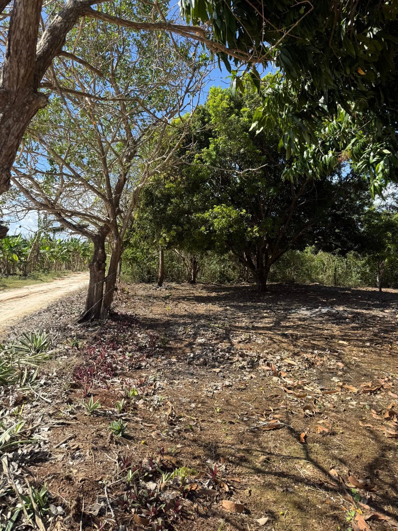 Paraiso Village, Corozal, Belize