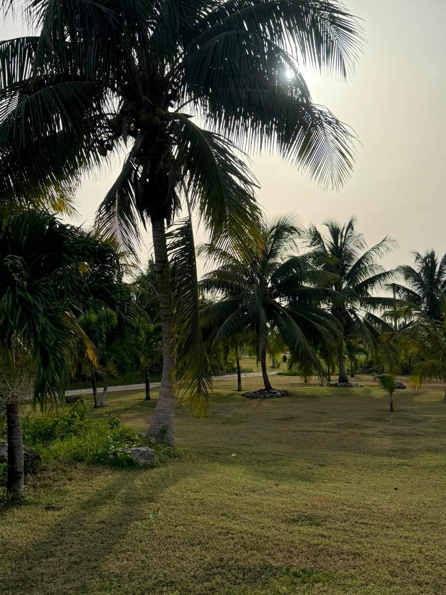 Chan Chen Village, Corozal District, Belize