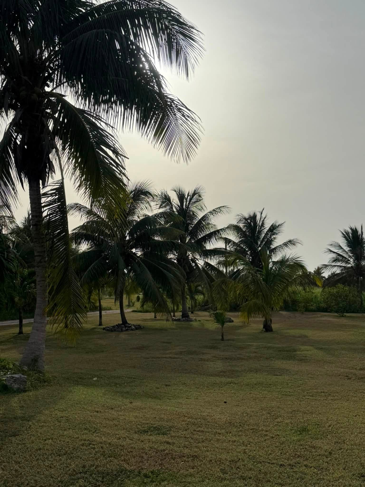 Chan Chen Village, Corozal District, Belize