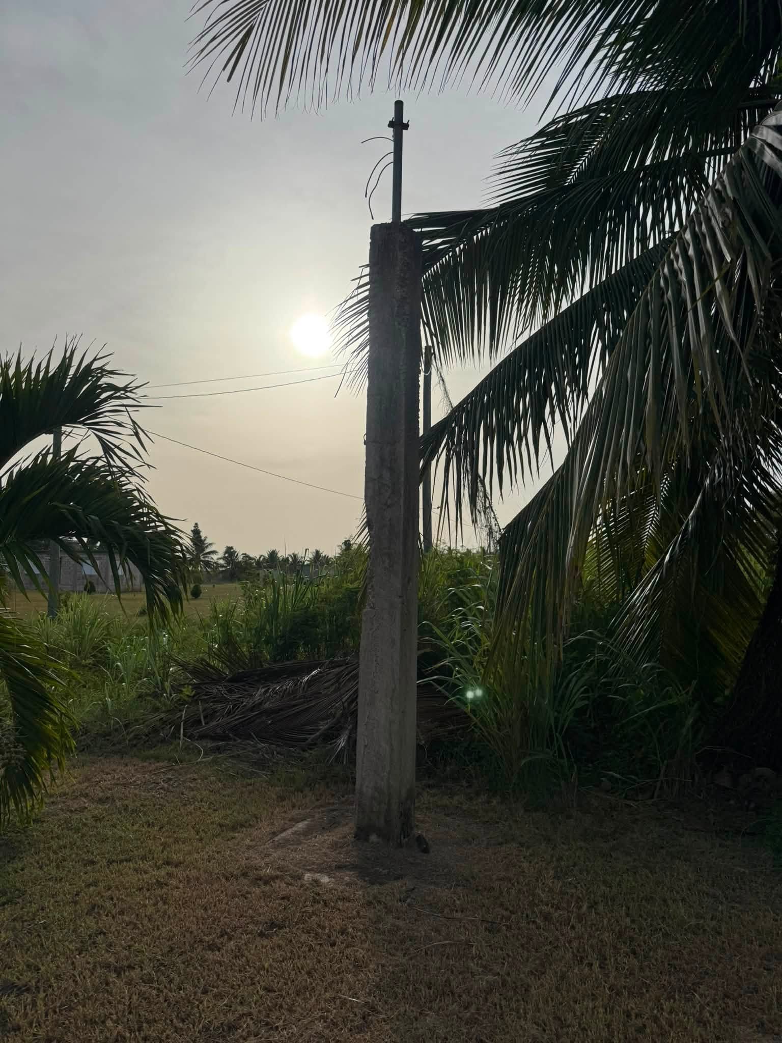 Chan Chen Village, Corozal District, Belize