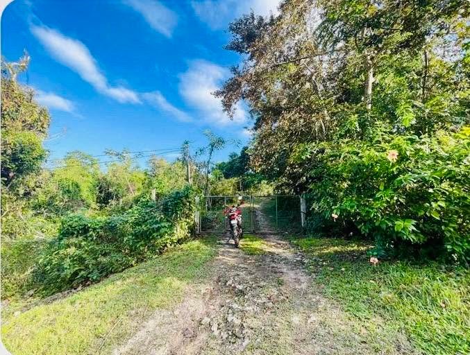 Unitedville, Cayo District (NO SELLER FINANCING AVAILABLE. HOWEVER, THE SELLER IS MOTIVATED AND OPEN TO REASONABLE OFFERS.)