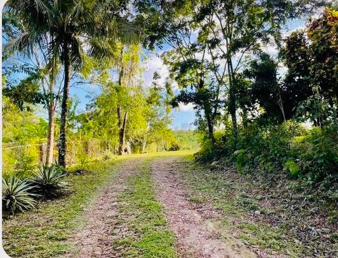 Unitedville, Cayo District (NO SELLER FINANCING AVAILABLE. HOWEVER, THE SELLER IS MOTIVATED AND OPEN TO REASONABLE OFFERS.)