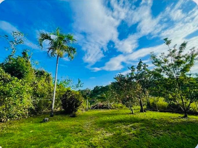 Unitedville, Cayo District (NO SELLER FINANCING AVAILABLE. HOWEVER, THE SELLER IS MOTIVATED AND OPEN TO REASONABLE OFFERS.)