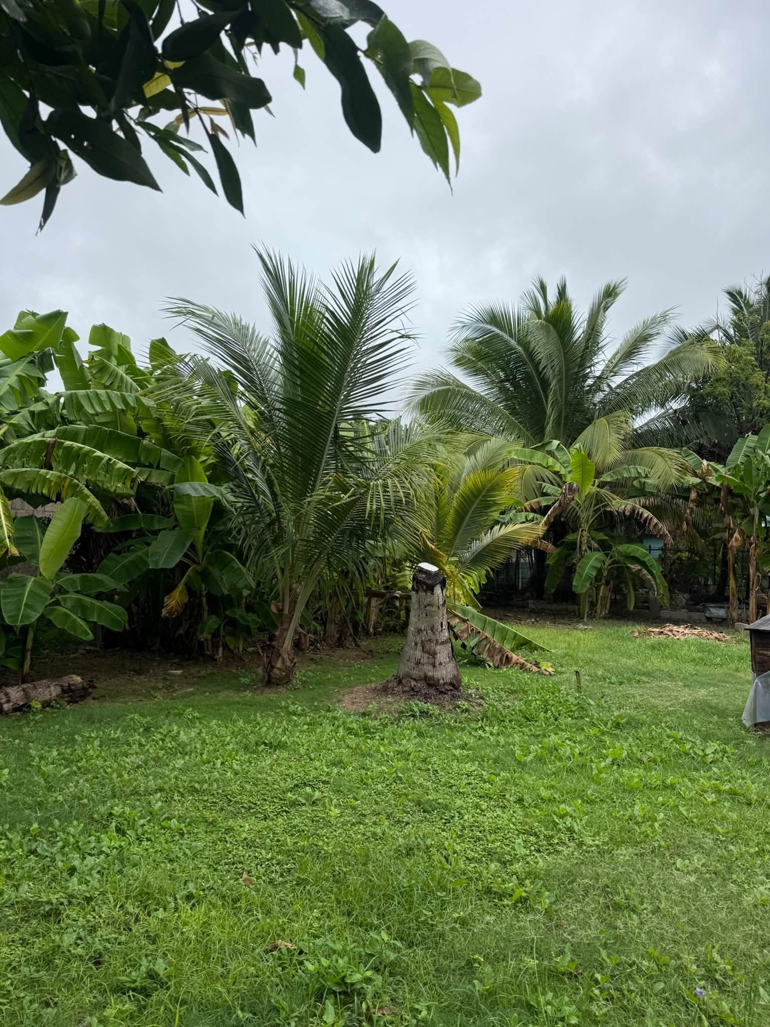 COROZAL TOWN, BELIZE